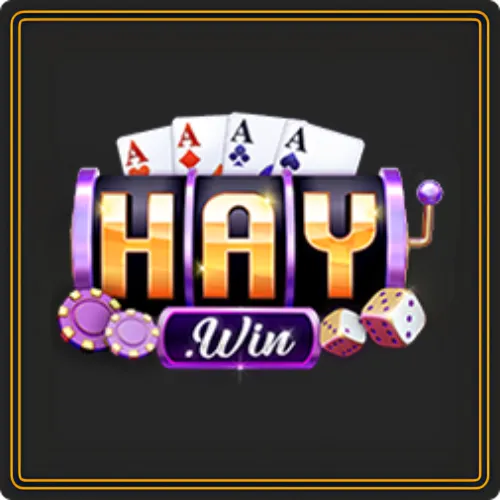haywin logo